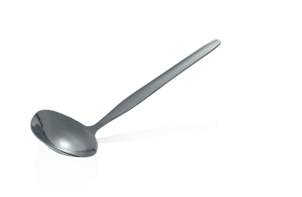 Saucenlöffel NP80 Serve, oval, Edelstahl, L 185 mm