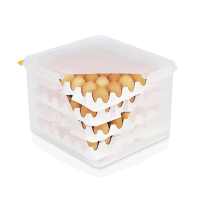 Eier-Box, PP, transparent Eier-Box, PP, transparent