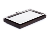Buffet-Set bestehend aus: Basiselement GN 1/1 Wenge, Edelstahl-Tablett GN 1/1 und Kühlakku Buffet-Set bestehend aus: Basiselement GN 1/1 Wenge, Edelstahl-Tablett GN 1/1 und Kühlakku